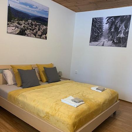 U Kubinu Daire Jáchymov Dış mekan fotoğraf